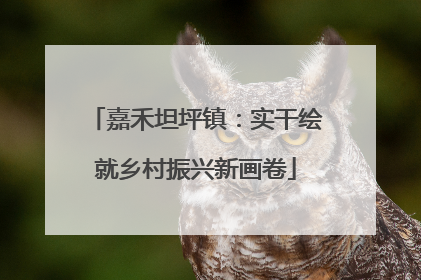 嘉禾坦坪镇：实干绘就乡村振兴新画卷