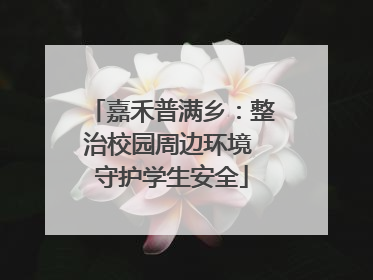 嘉禾普满乡：整治校园周边环境 守护学生安全