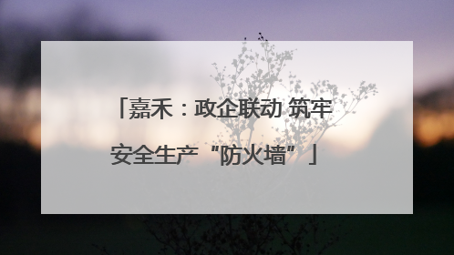 嘉禾：政企联动 筑牢安全生产“防火墙”