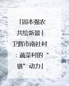 固本强农 共绘新景 ︳卫辉市南社村：蔬菜村的“链”动力