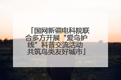 国网新疆电科院联合多方开展“爱鸟护线”科普交流活动 共筑鸟类友好城市