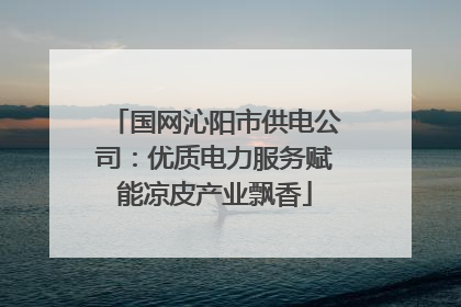 国网沁阳市供电公司：优质电力服务赋能凉皮产业飘香