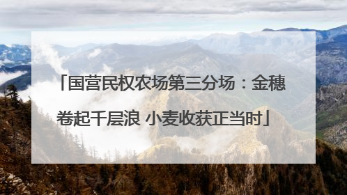 国营民权农场第三分场：金穗卷起千层浪 小麦收获正当时