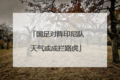 国足对阵印尼队 天气或成拦路虎