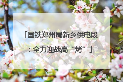 国铁郑州局新乡供电段：全力迎战高“烤”