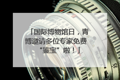国际博物馆日，青博邀请多位专家免费“鉴宝”啦！
