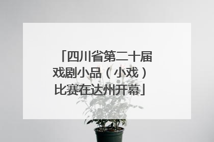 四川省第二十届戏剧小品（小戏）比赛在达州开幕