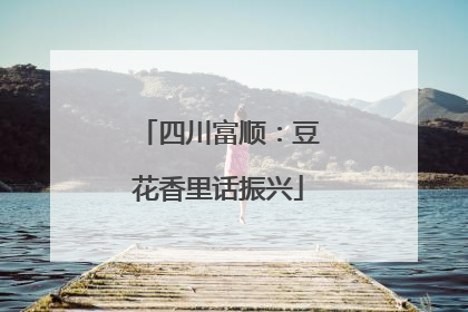 四川富顺：豆花香里话振兴