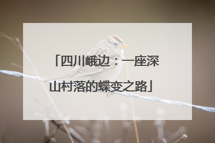四川峨边：一座深山村落的蝶变之路