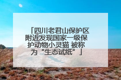 四川老君山保护区附近发现国家一级保护动物小灵猫 被称为“生态试纸”
