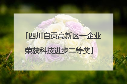 四川自贡高新区一企业荣获科技进步二等奖