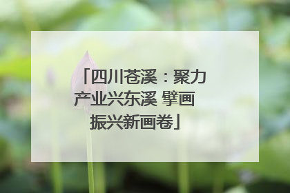 四川苍溪：聚力产业兴东溪 擘画振兴新画卷
