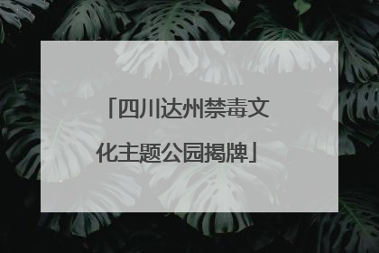 四川达州禁毒文化主题公园揭牌