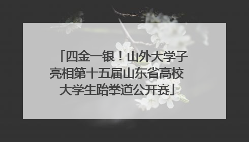 四金一银！山外大学子亮相第十五届山东省高校大学生跆拳道公开赛