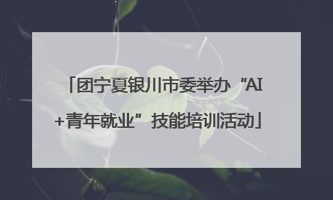 团宁夏银川市委举办“AI+青年就业”技能培训活动