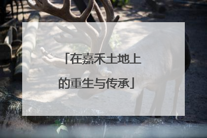 在嘉禾土地上的重生与传承