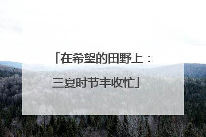 在希望的田野上：三夏时节丰收忙
