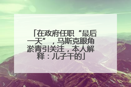 在政府任职“最后一天”，马斯克眼角淤青引关注，本人解释：儿子干的
