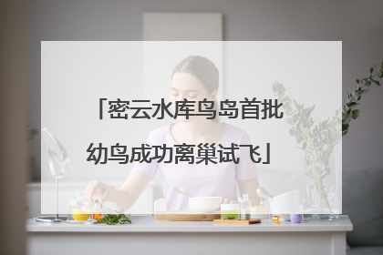 密云水库鸟岛首批幼鸟成功离巢试飞