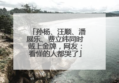 孙杨、汪顺、潘展乐、费立纬同时戴上金牌，网友：看懂的人都哭了