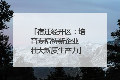 宿迁经开区：培育专精特新企业 壮大新质生产力