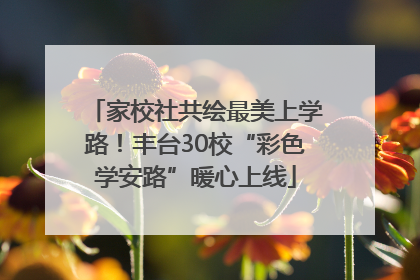家校社共绘最美上学路！丰台30校“彩色学安路”暖心上线