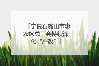 宁夏石嘴山市惠农区总工会持续深化“产改”