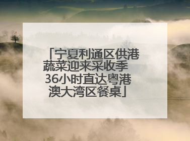 宁夏利通区供港蔬菜迎来采收季 36小时直达粤港澳大湾区餐桌