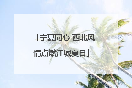 宁夏同心 西北风情点燃江城夏日