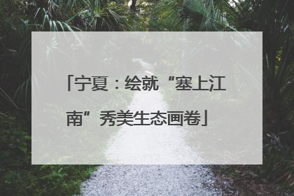 宁夏：绘就“塞上江南”秀美生态画卷