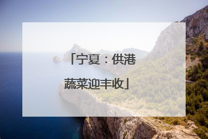 宁夏：供港蔬菜迎丰收