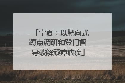 宁夏：以靶向式蹲点调研和登门督导破解顽瘴痼疾