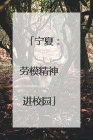 宁夏：劳模精神进校园