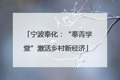 宁波奉化：“奉菁学堂”激活乡村新经济