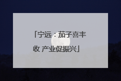 宁远：茄子喜丰收 产业促振兴