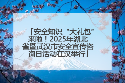 安全知识“大礼包”来啦！2025年湖北省暨武汉市安全宣传咨询日活动在汉举行