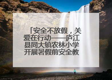 安全不放假，关爱在行动——庐江县同大镇农林小学开展暑假前安全教育大家访