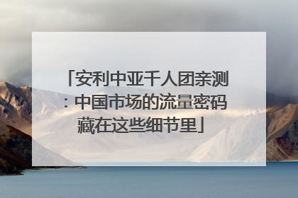安利中亚千人团亲测：中国市场的流量密码 藏在这些细节里