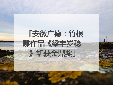 安徽广德：竹根雕作品《梁丰岁稔》斩获金鼎奖