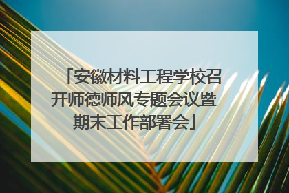 安徽材料工程学校召开师德师风专题会议暨期末工作部署会