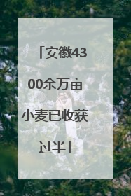 安徽4300余万亩小麦已收获过半
