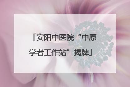 安阳中医院“中原学者工作站”揭牌
