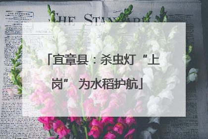 宜章县：杀虫灯“上岗” 为水稻护航