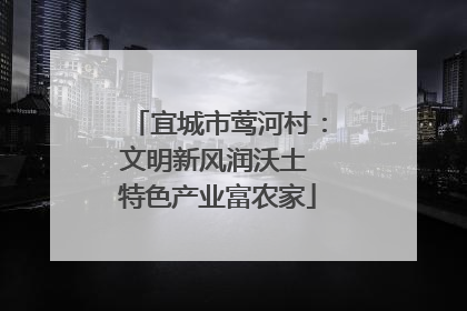 宜城市莺河村：文明新风润沃土 特色产业富农家