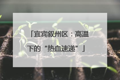 宜宾叙州区：高温下的“热血速递”