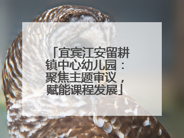 宜宾江安留耕镇中心幼儿园：聚焦主题审议，赋能课程发展