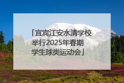 宜宾江安水清学校举行2025年春期学生球类运动会