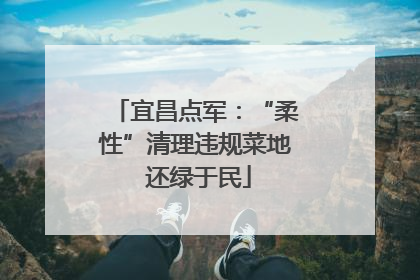 宜昌点军：“柔性”清理违规菜地 还绿于民