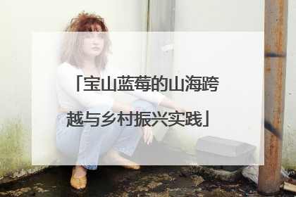 宝山蓝莓的山海跨越与乡村振兴实践