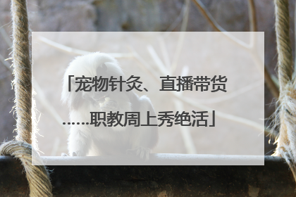 宠物针灸、直播带货……职教周上秀绝活
